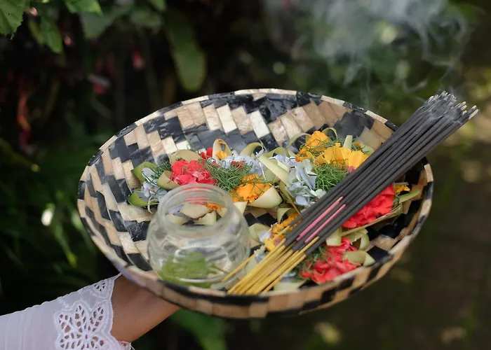 Puri Sedana 别墅 乌布
